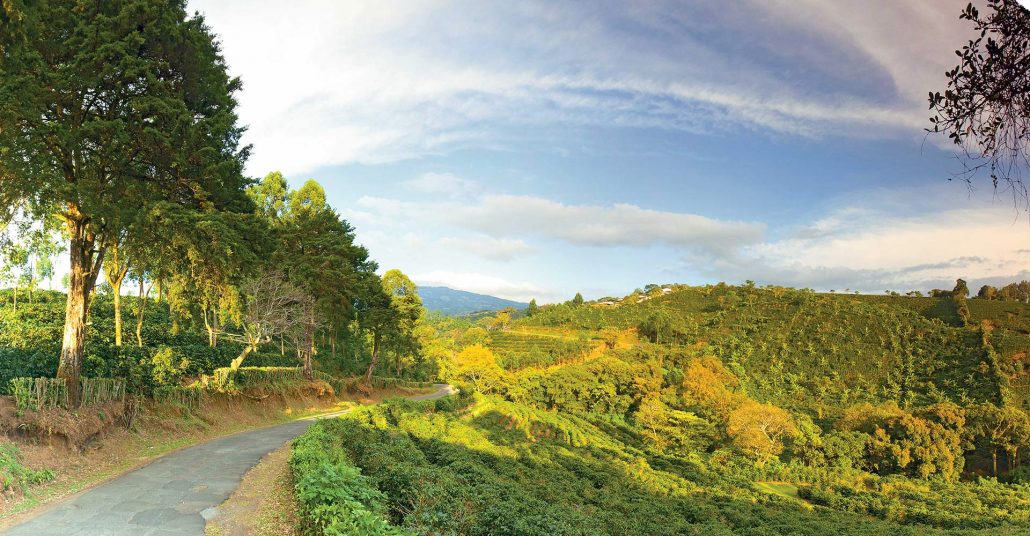 Nuestro Café – Cafe De Costa Rica